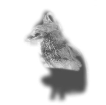 Creation of Fox & Hounds: Step 4